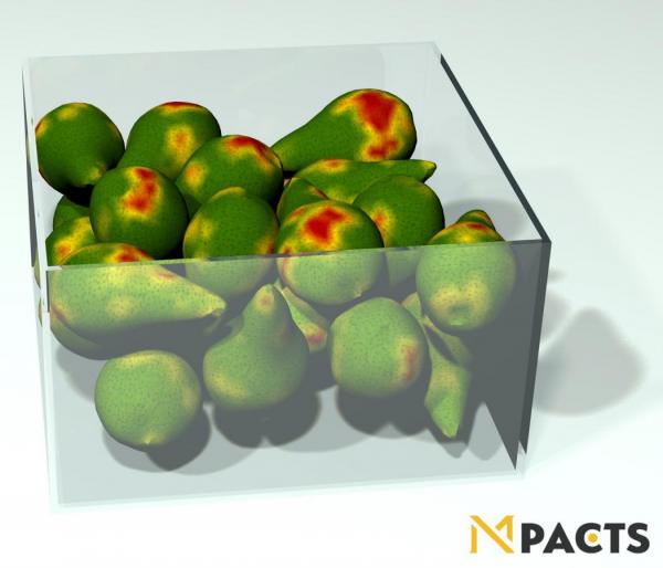 Simulation of pears in a box, damaged by transportation